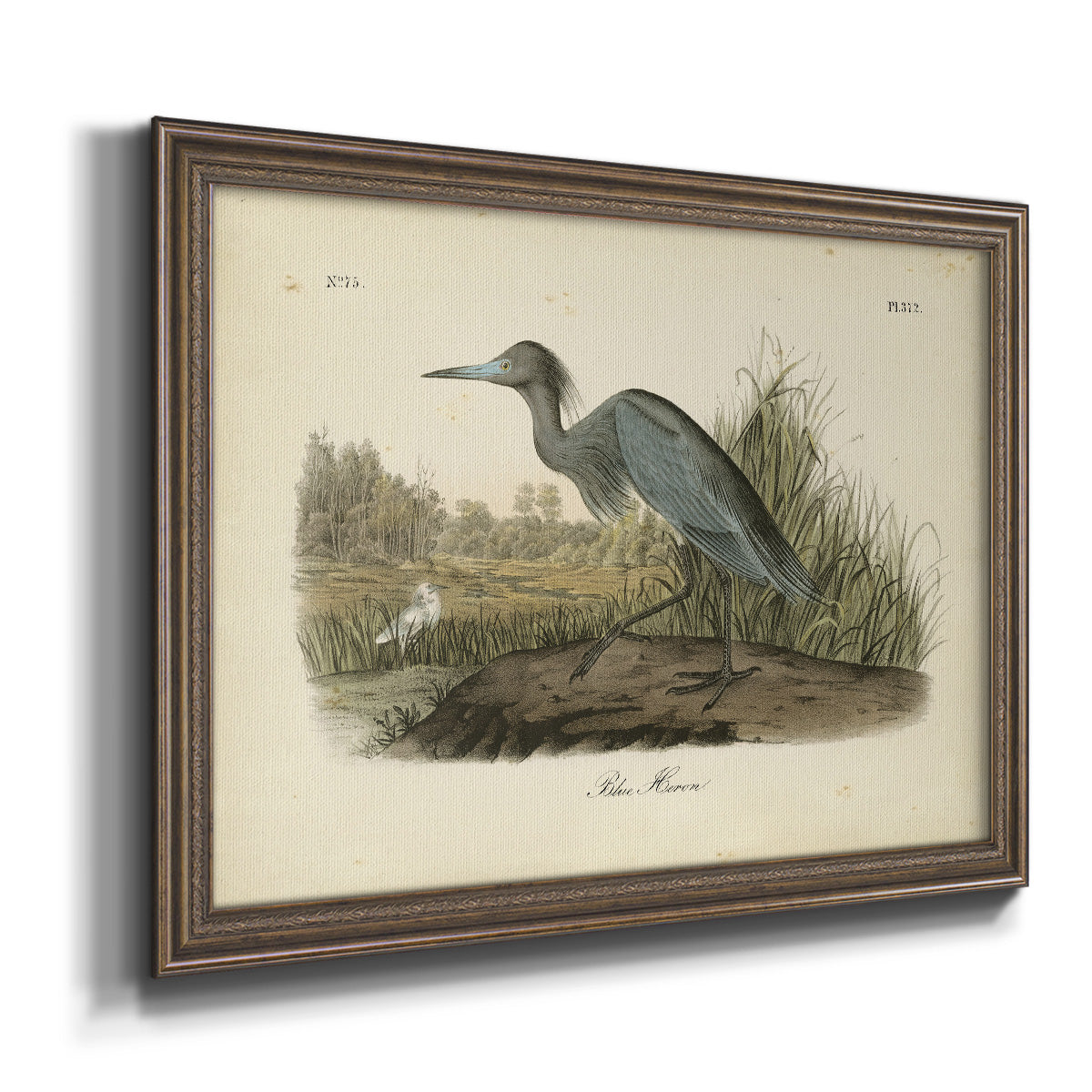 Audubons Blue Heron Premium Framed Canvas- Ready to Hang