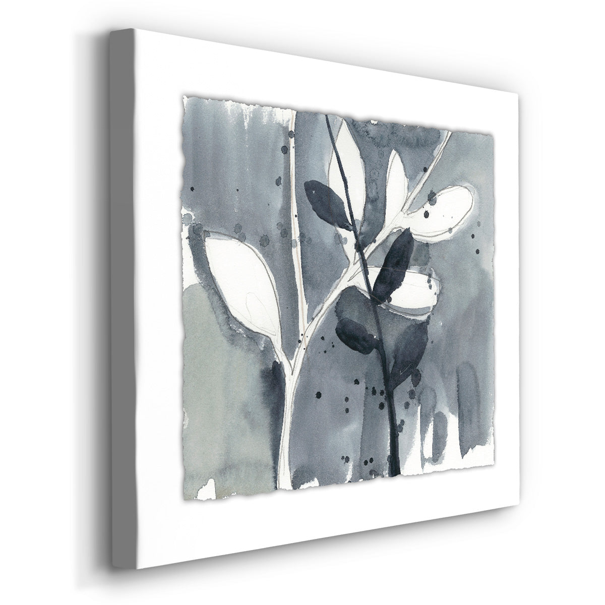 Branch Contours IX - Canvas Art Print