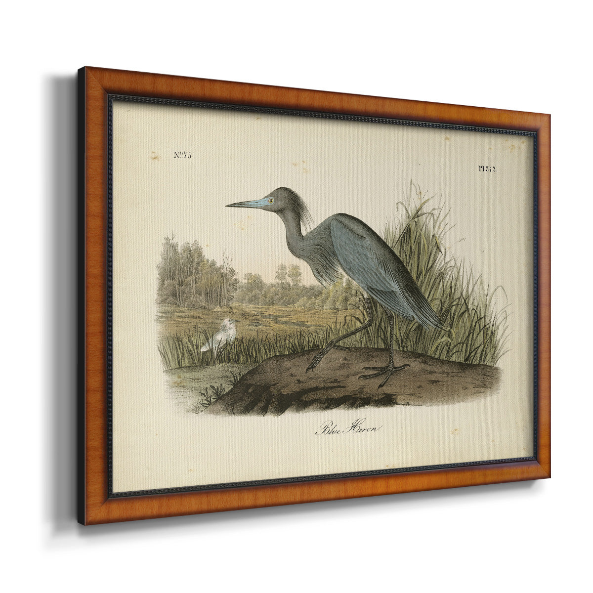 Audubons Blue Heron Premium Framed Canvas- Ready to Hang