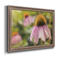 Echinacea Study I Premium Framed Canvas- Ready to Hang