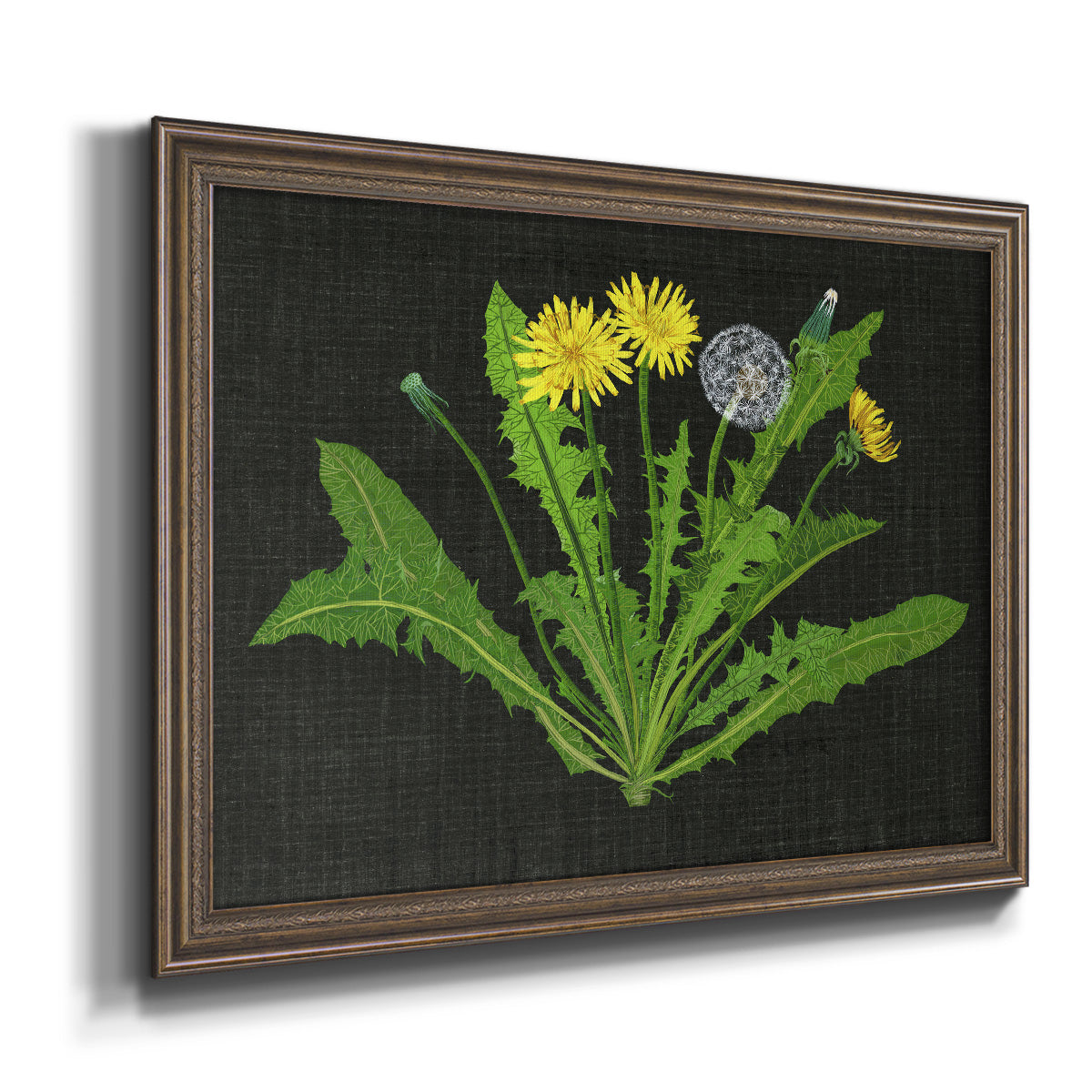 Wild Dandelion II Premium Framed Canvas- Ready to Hang