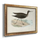 Morris Sandpipers VII Premium Framed Canvas- Ready to Hang