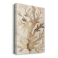 Parchment Coral III Premium Gallery Wrapped Canvas - Ready to Hang