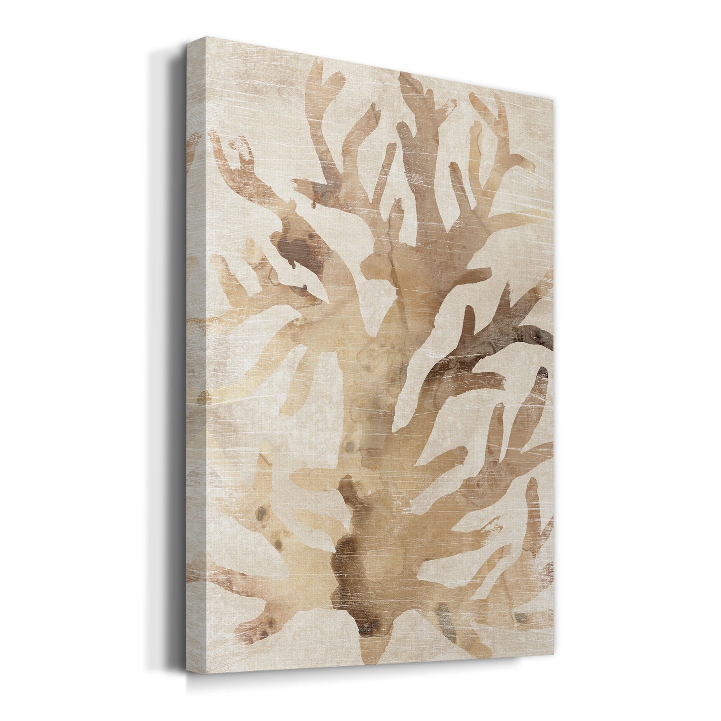 Parchment Coral III Premium Gallery Wrapped Canvas - Ready to Hang