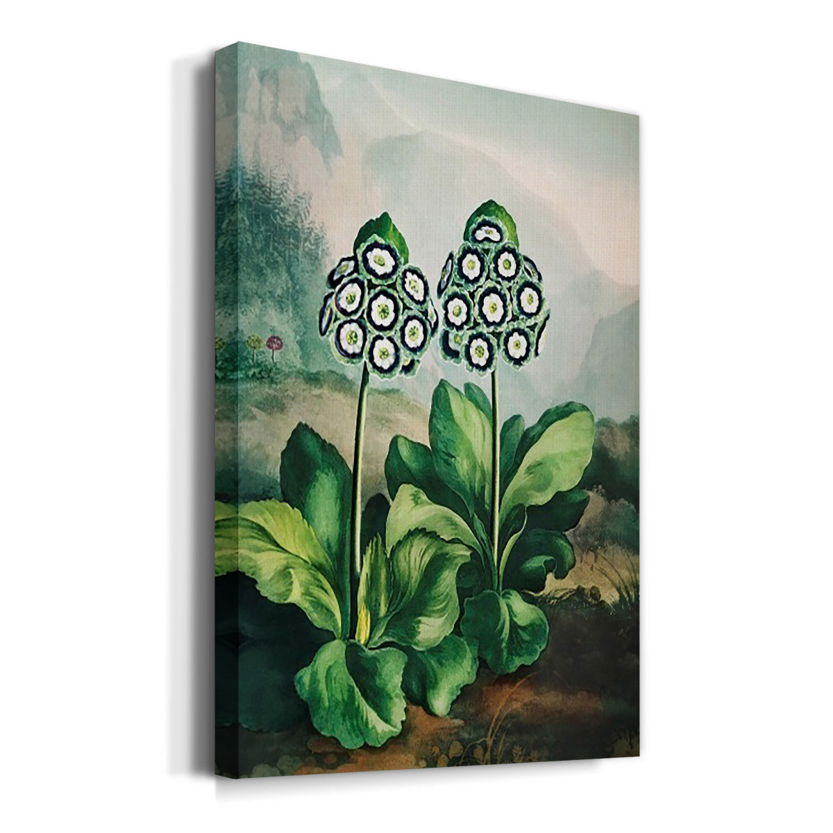 Temple of Flora XI - Canvas Art Print