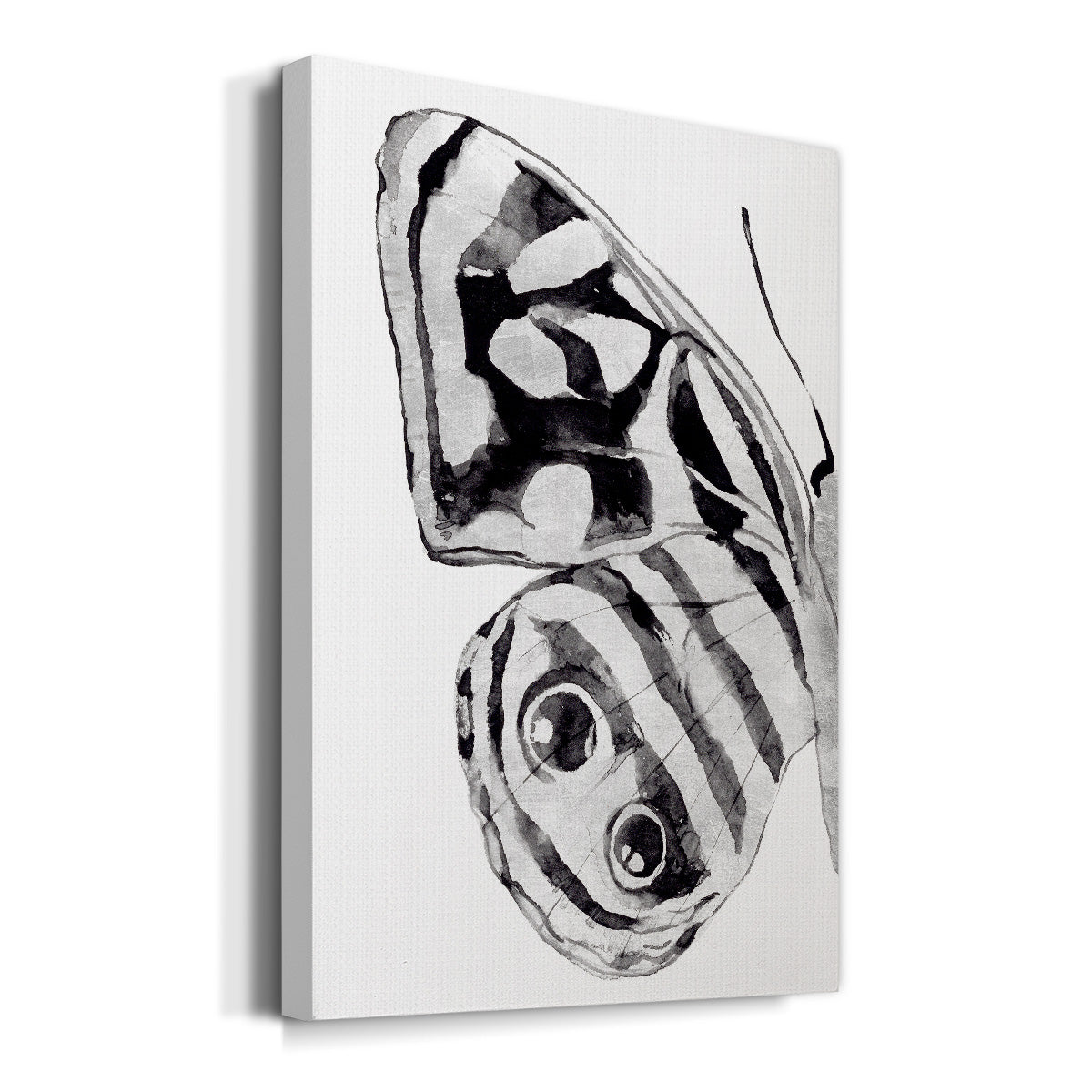 Monochrome Wings III Premium Gallery Wrapped Canvas - Ready to Hang