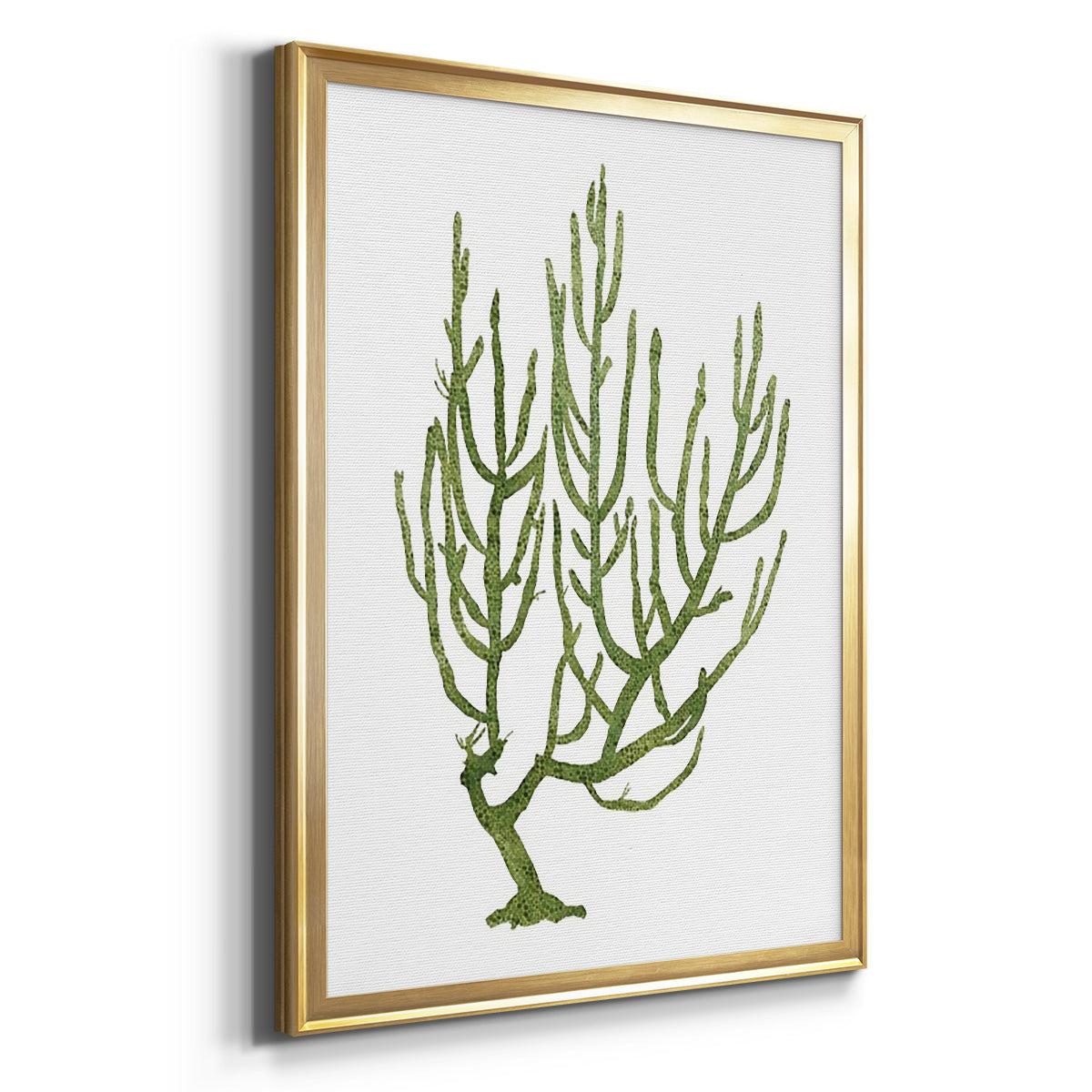 Coral Souvenirs III - Modern Framed Canvas Print