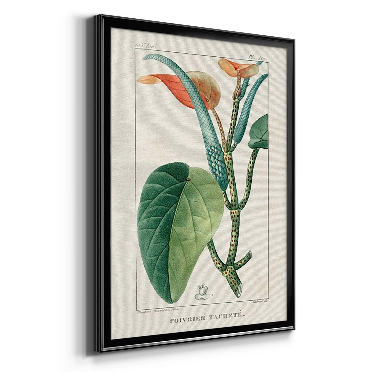 Turpin Tropical Botanicals II - Modern Framed Canvas Print