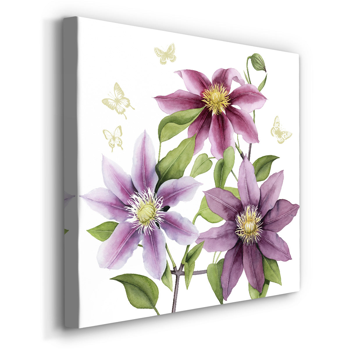 Clematis Climb II - Canvas Art Print