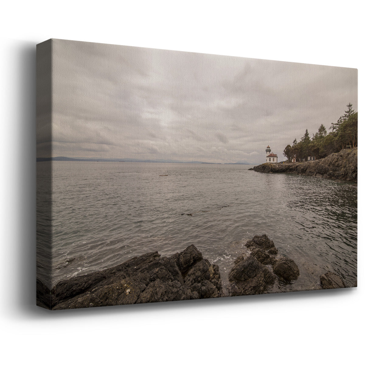 Solitary Premium Gallery Wrapped Canvas - Ready to Hang