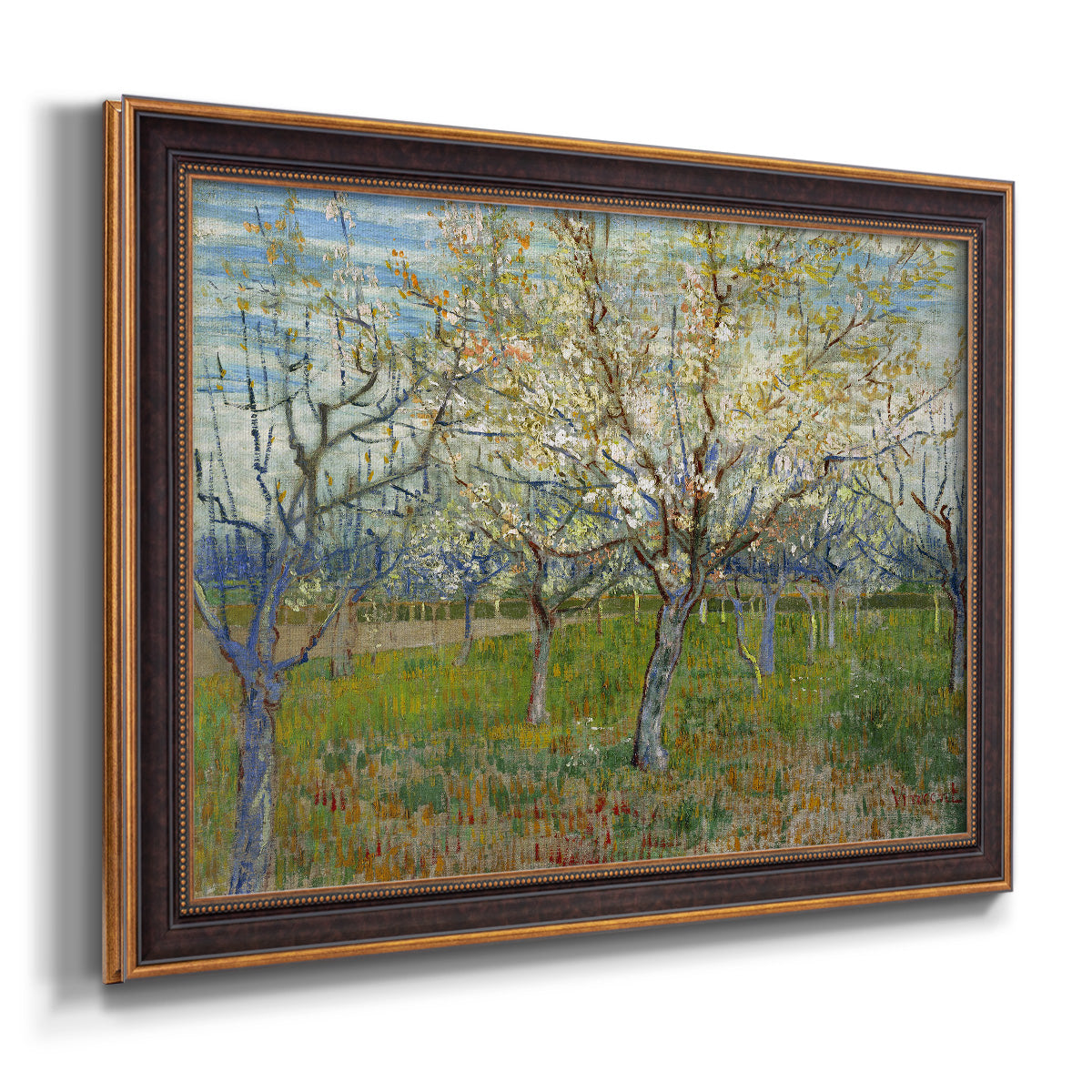 Orchard With Blossoming Apricot Trees - Ornate Framed Canvas Print