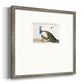 Standing Peacock Premium Framed Print Double Matboard