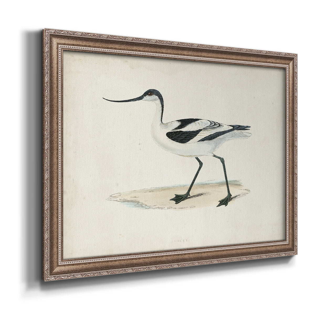 Morris Sandpipers IV Premium Framed Canvas- Ready to Hang