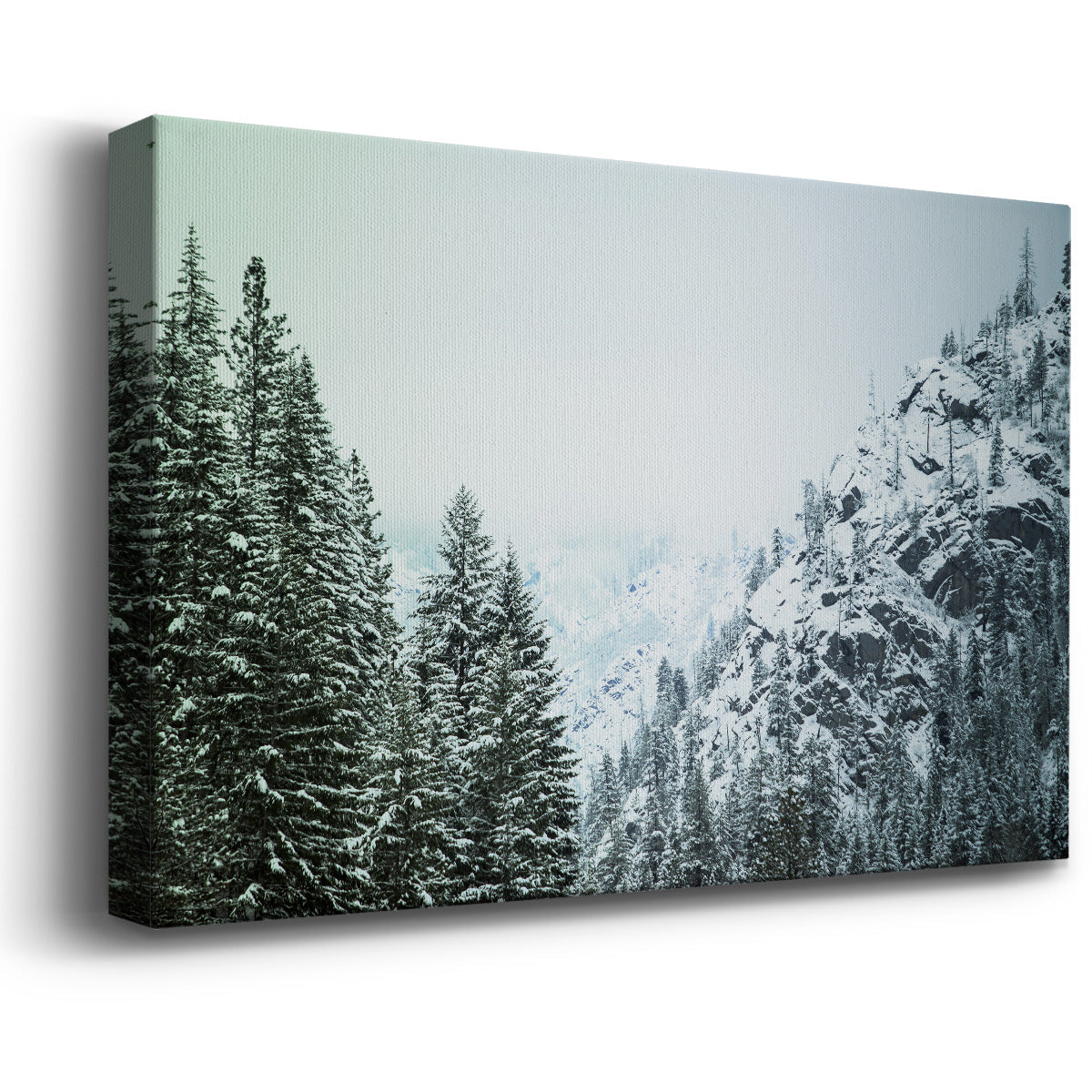 Snowfall in Cascadia II V1 - Canvas Art Print