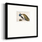 Peackock Plumage Premium Framed Print Double Matboard