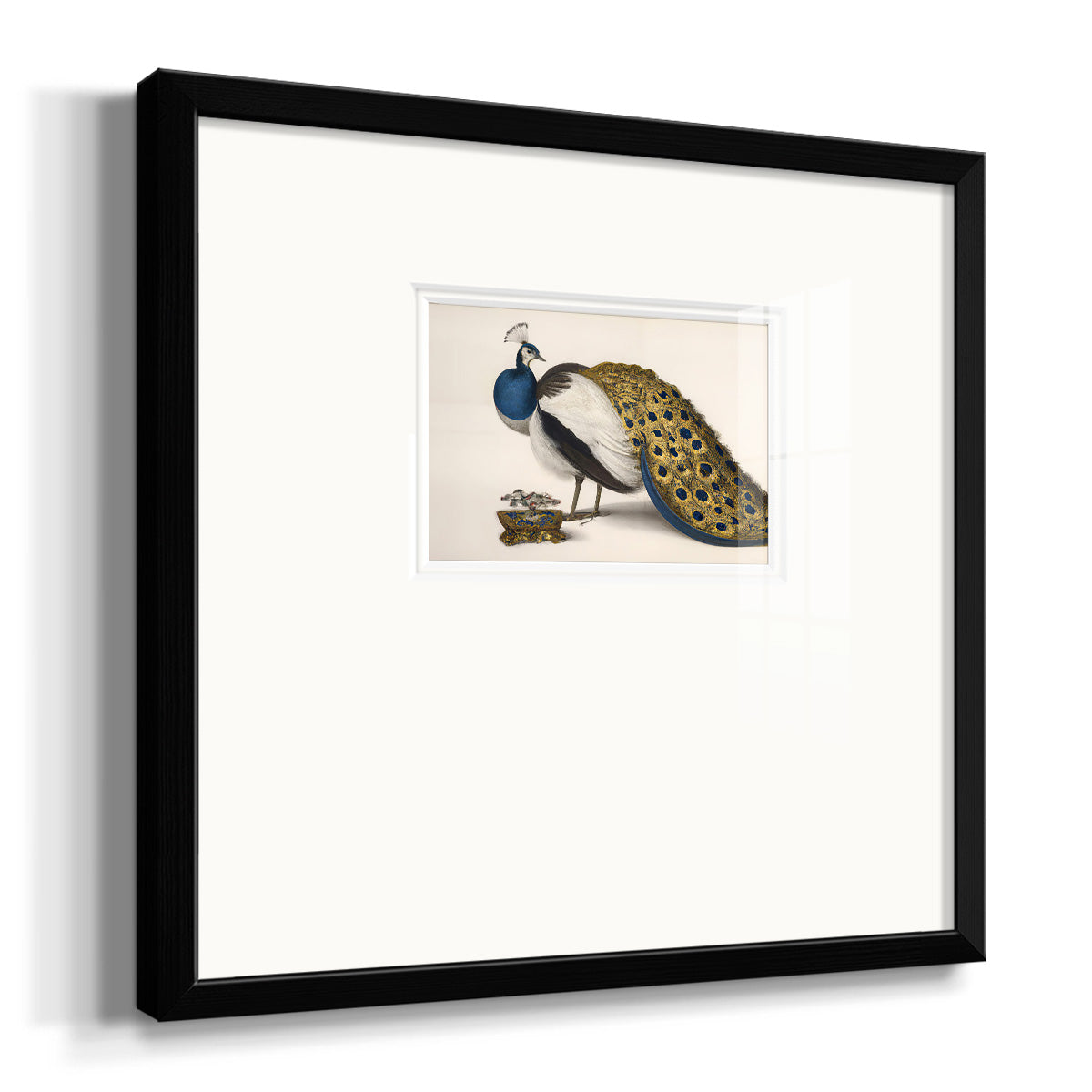 Peackock Plumage Premium Framed Print Double Matboard