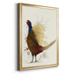 Pheasant Splash 8 - Modern Framed Canvas Print