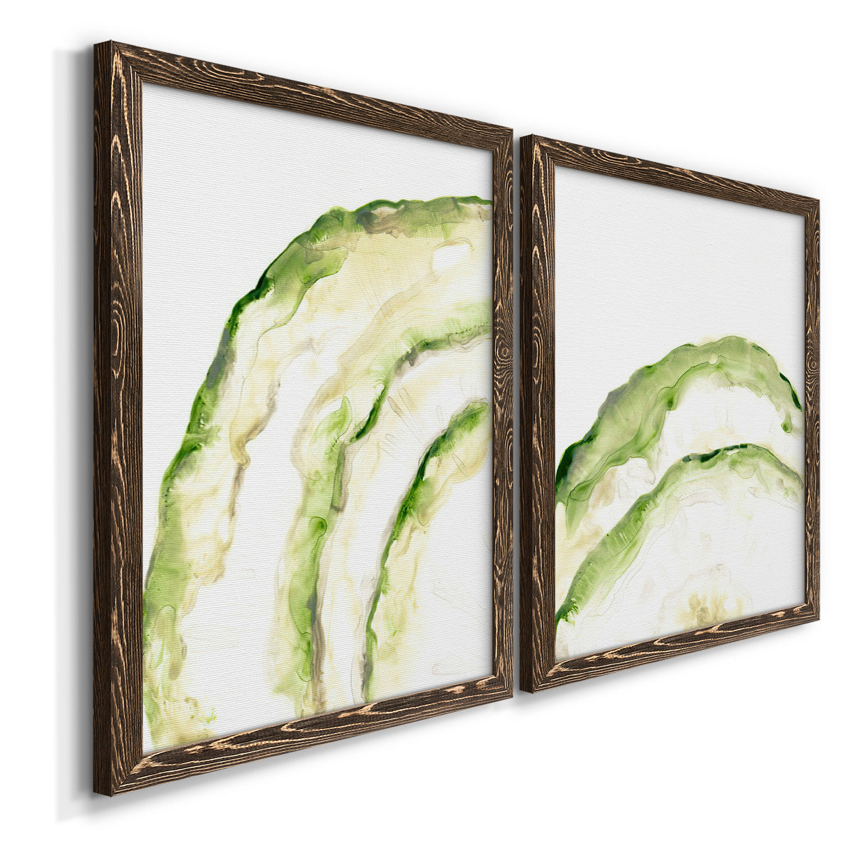 Lichen Halo I - Premium Framed Canvas 2 Piece Set - Ready to Hang