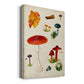 Mushroom Species VIII - Canvas Art Print