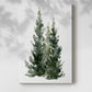 Simple Evergreens I - Gallery Wrapped Canvas