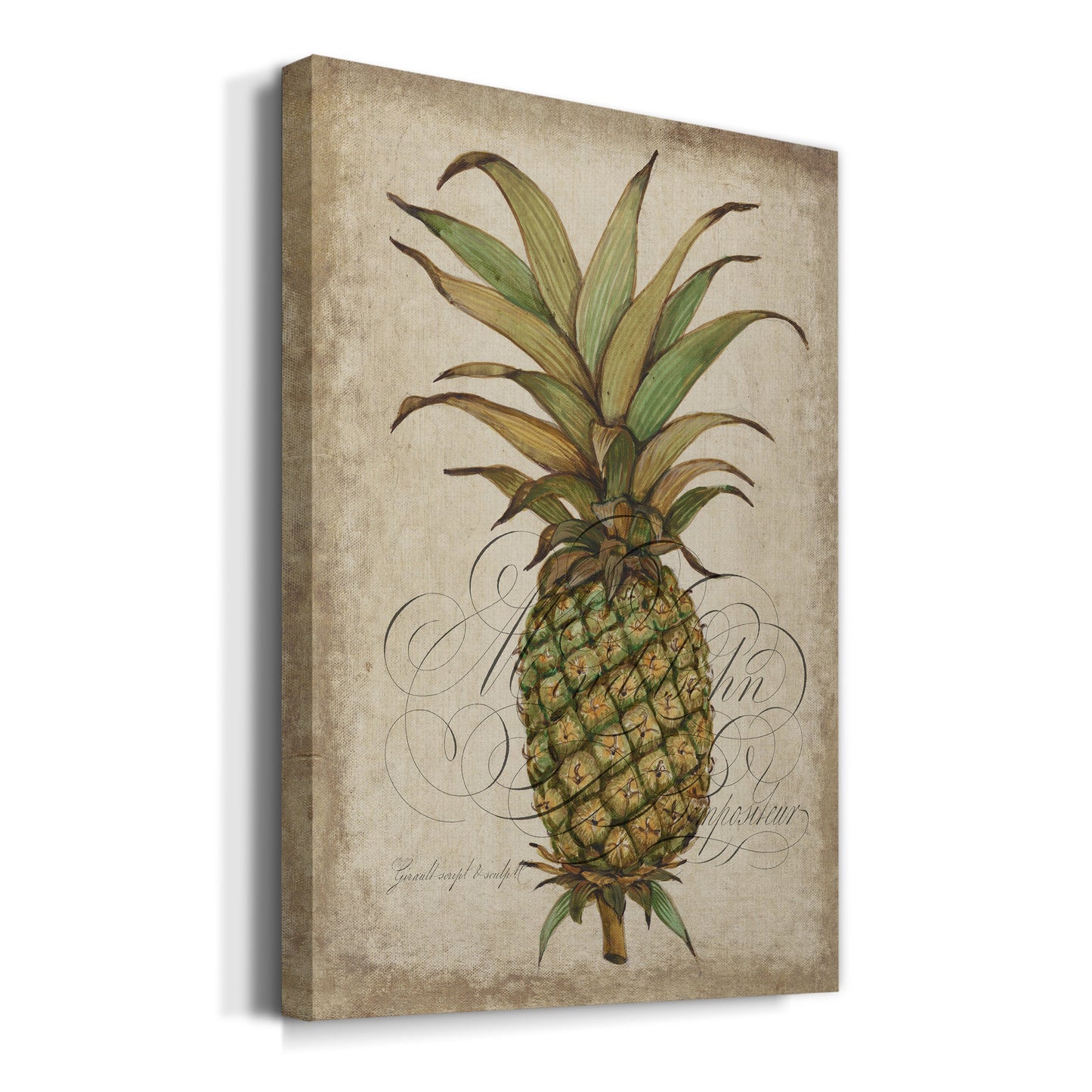 Pineapple Study I Premium Gallery Wrapped Canvas - Ready to Hang