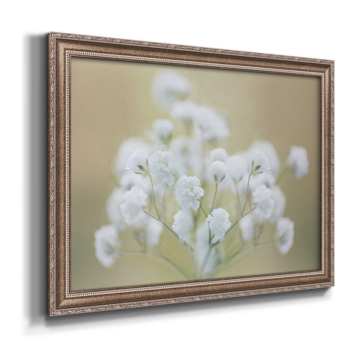 Baby's Breath Study I Premium Framed Canvas- Ready to Hang