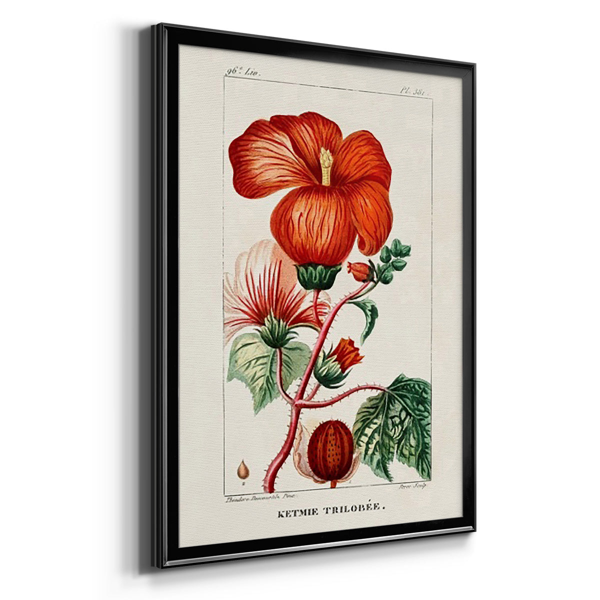 Turpin Tropical Botanicals VII - Modern Framed Canvas Print