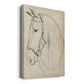 Horse in Bridle Sketch II - Canvas Art Print