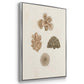 Knorr Shells & Coral VI - Framed Premium Gallery Wrapped Canvas L Frame 3 Piece Set - Ready to Hang