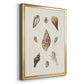 Knorr Shells & Coral IX - Modern Framed Canvas Print