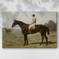 Jockey dressed in yellow sits on a black horse in a serene field during a calm afternoon