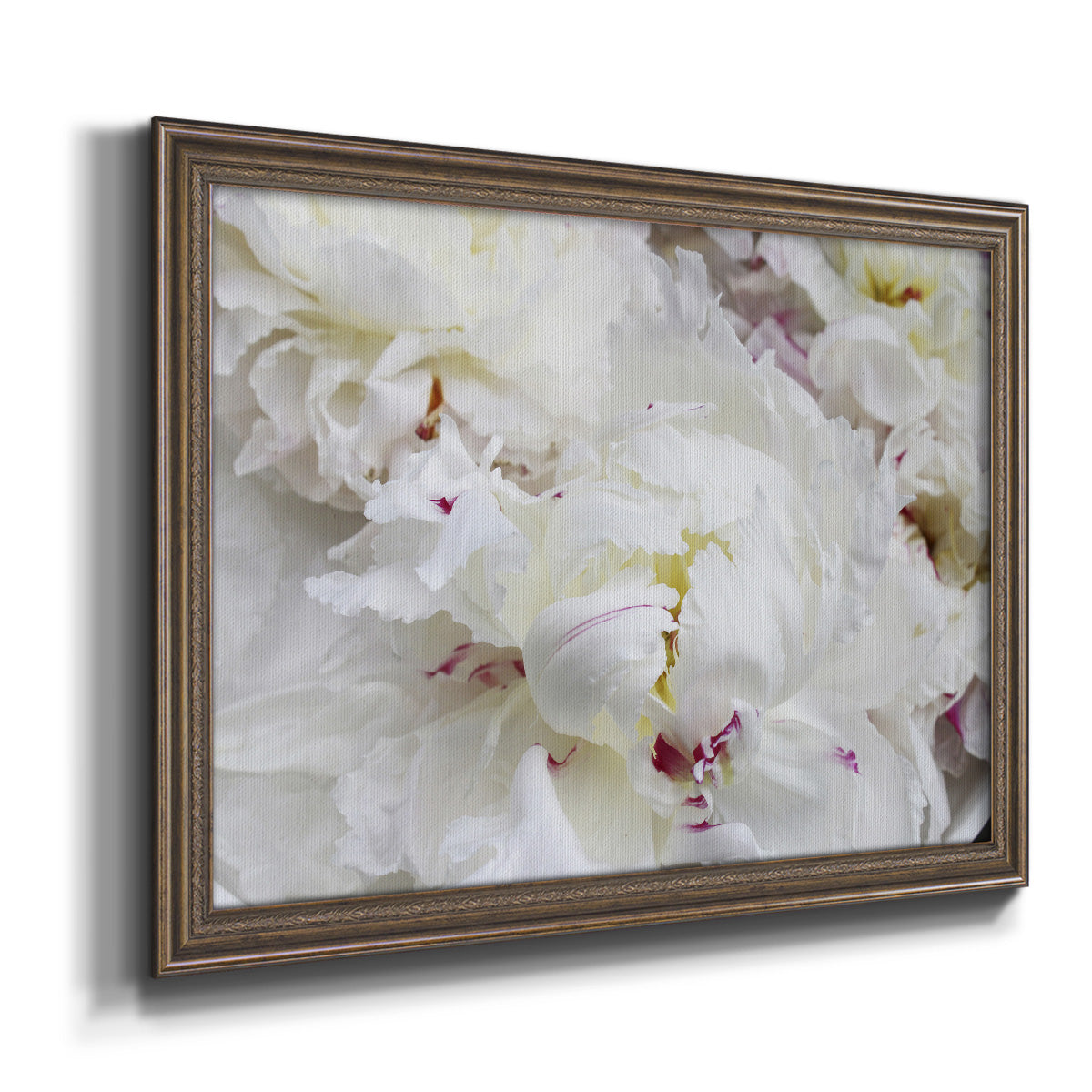 Breathless VI - Ornate Framed Canvas Print