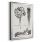 Black & White Protea on Linen I - Modern Framed Canvas Print