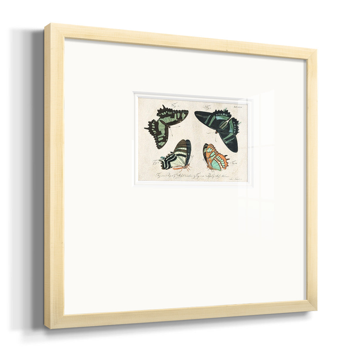 Crackled Butterflies III Premium Framed Print Double Matboard