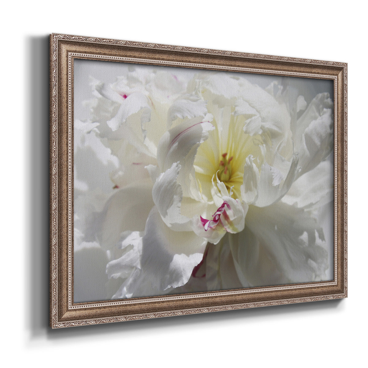 Breathless III Premium Framed Canvas- Ready to Hang