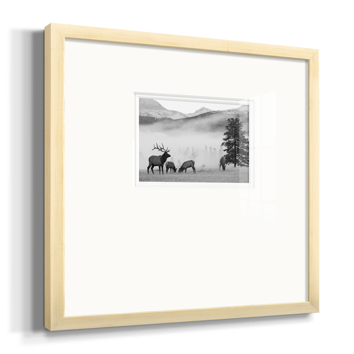 Mountain Elk Premium Framed Print Double Matboard