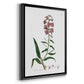 Rose Botanical I - Modern Framed Canvas Print