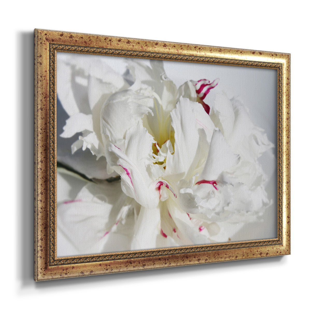 Breathless I Premium Framed Canvas- Ready to Hang