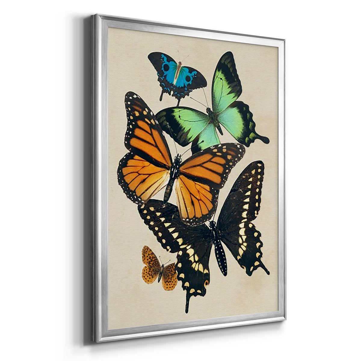 Collaged Butterflies I - Modern Framed Canvas Print