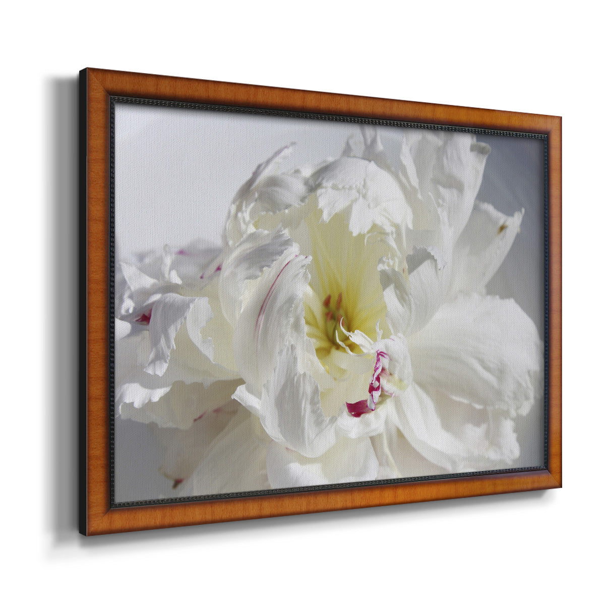 Breathless IV - Ornate Framed Canvas Print