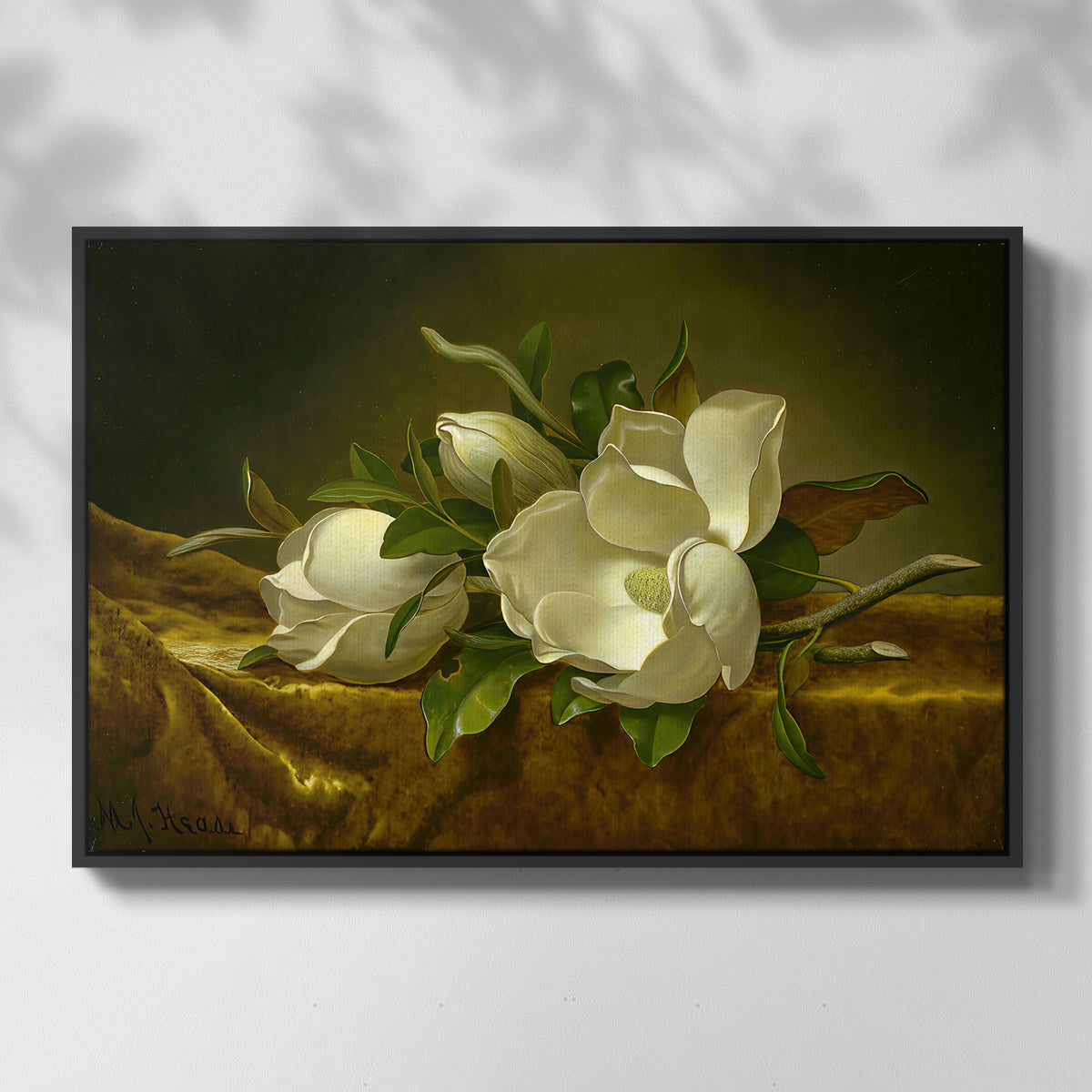 Magnolias on Gold Velvet Cloth, c. 1888-1890 - Floater Framed Canvas Print