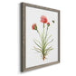 Wildflower Botanical III - Barnwood Framed Canvas Print