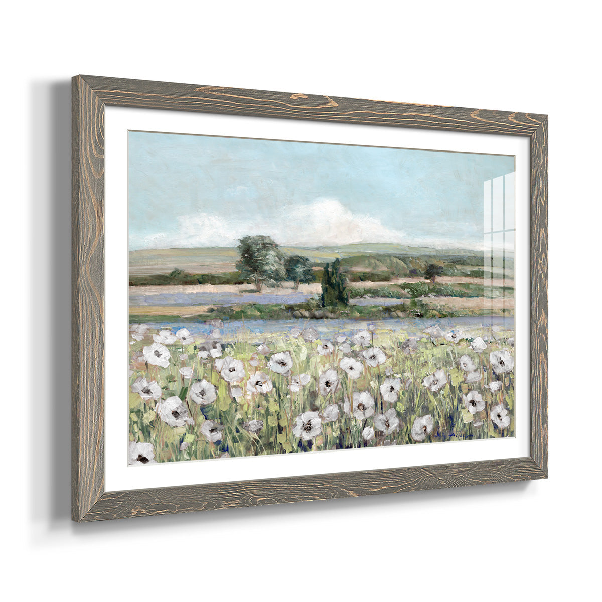 Vintage Poppy Valley - Barnwood Framed Art Print