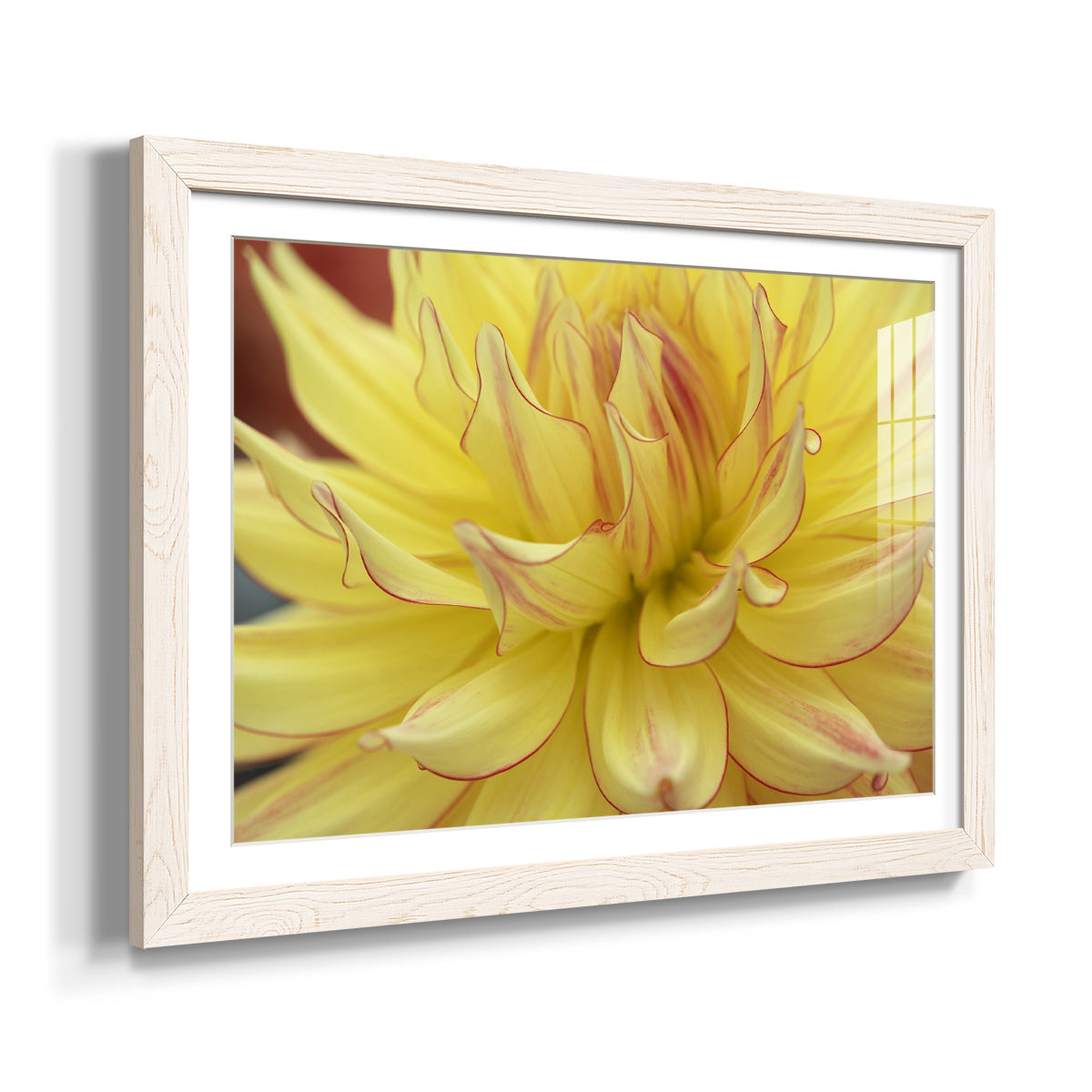 Blooms I - Barnwood Framed Art Print
