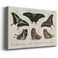 Crackled Butterflies II Premium Gallery Wrapped Canvas - Ready to Hang