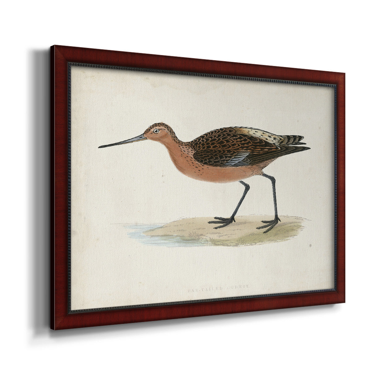 Morris Sandpipers II Premium Framed Canvas- Ready to Hang