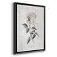 Vintage Botanical I - Modern Framed Canvas Print