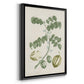 Buchoz Tropicals II - Modern Framed Canvas Print