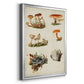 Mushroom Species X - Modern Framed Canvas Print