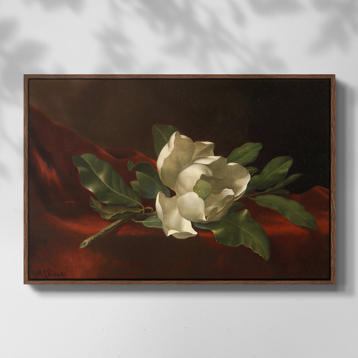 Magnolia on Red Velvet, c. 1885-1890 - Floater Framed Canvas Print